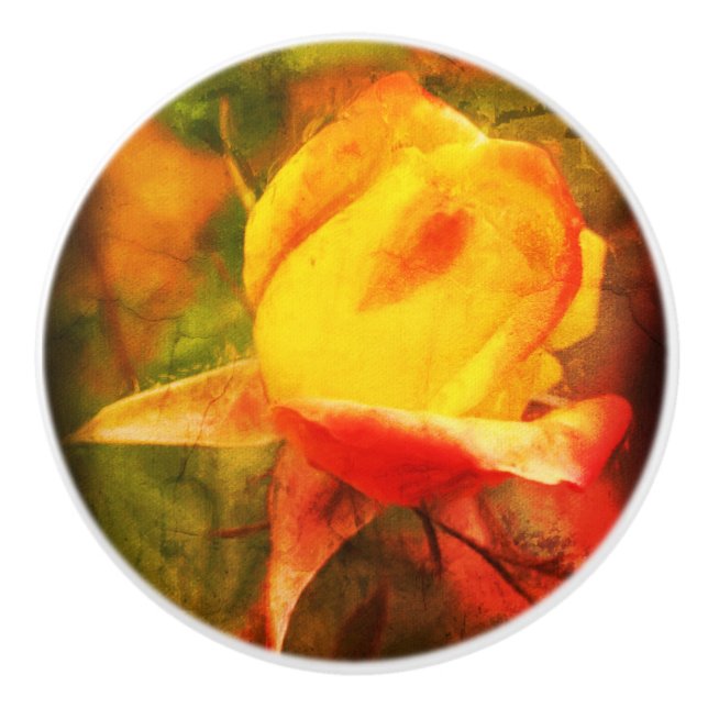Rosebud Floral Art Photo Painting Distressed  Ceramic Knob (Front)