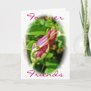 Rosebud Forever Friends Card