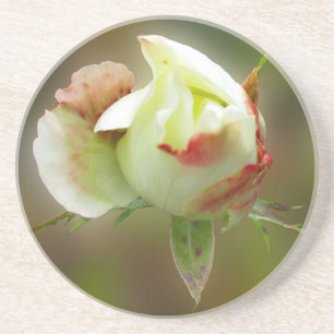 rosebud glowing coaster