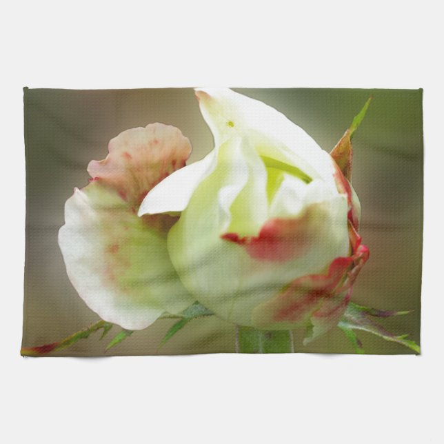 rosebud glowing kitchen towel (Horizontal)