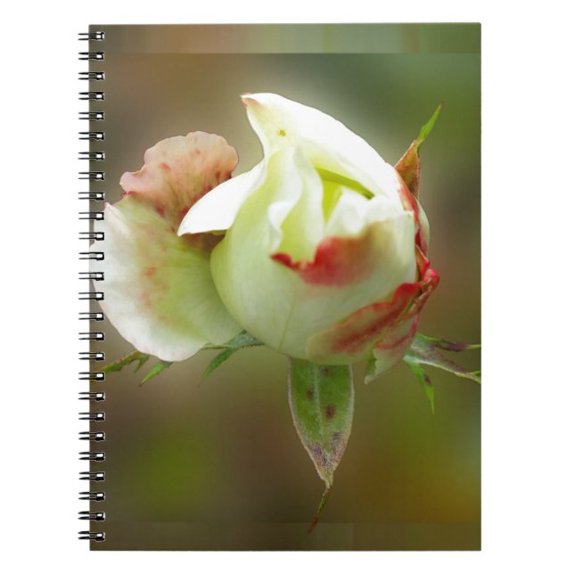 rosebud glowing notebook (Front)