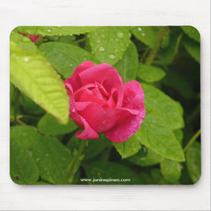 Rosebud mousepad