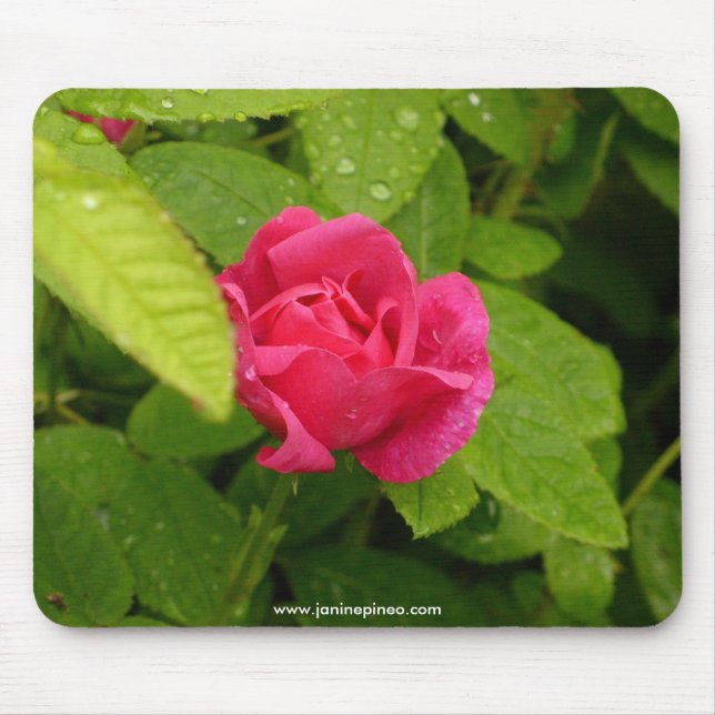 Rosebud mousepad (Front)