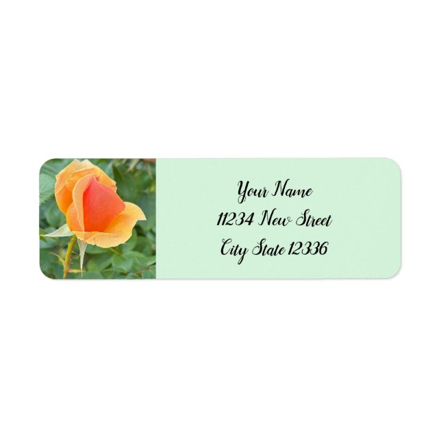 Rosebud Photo Return Address Labels  (Front)