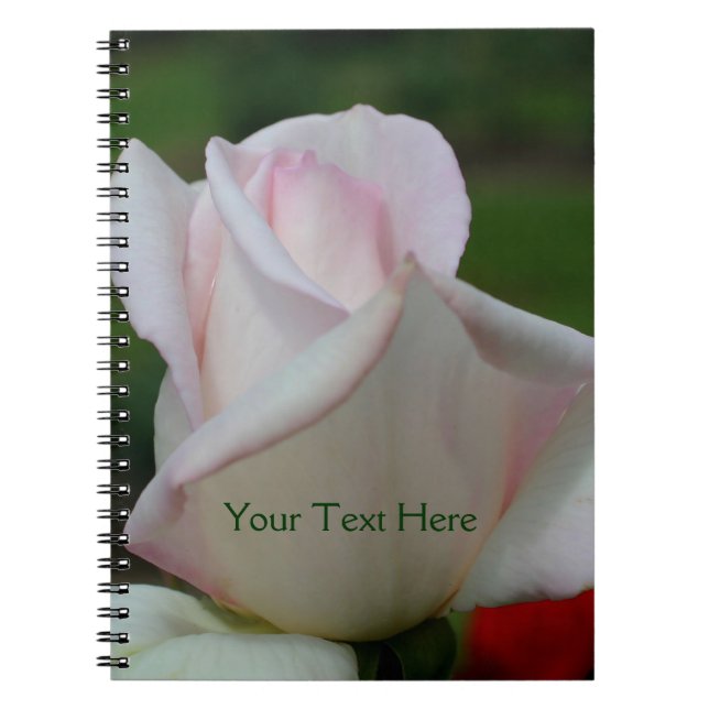 Rosebud rose pâle Carnet naturel (Devant)