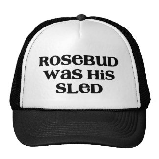 rosebud_sled_trucker_hat-r1ffc4ae91d4a440baf387d29ad3e414b_v9wfy_8byvr_324.jpg