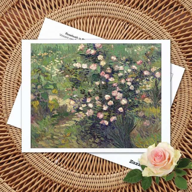 Rosebush à Blossom Vincent van Gogh Carte postale (Créateur téléchargé)