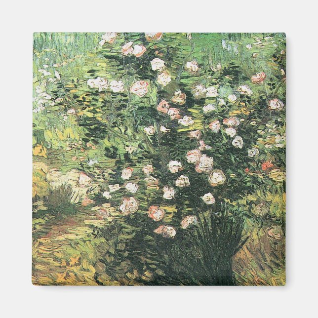 Rosebush in Blossom by Vincent van Gogh Magnet (Front)