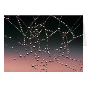 Rosée de matin