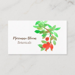 Rosehips Seeds Botanical Plant Red Business Card