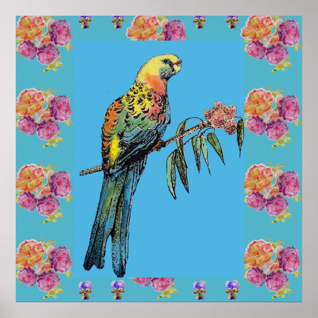 Rosella Bird Aquarelle Parrot Aqua Poster Rose (Devant)