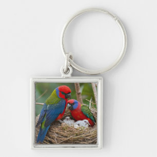 Rosella Birds Keychain