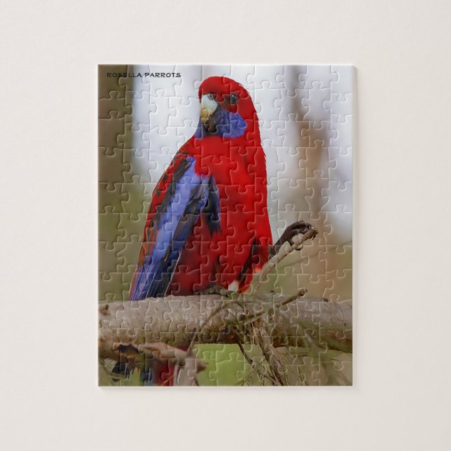 Rosella Parrots Australia Jigsaw Puzzle (Vertical)
