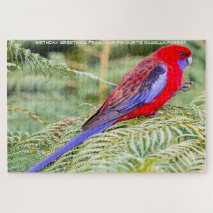 Rosella Parrots Australia Jigsaw Puzzle