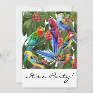Rosella Parrots Customizable Invitation