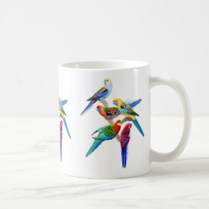 Rosella Parrots la tasse