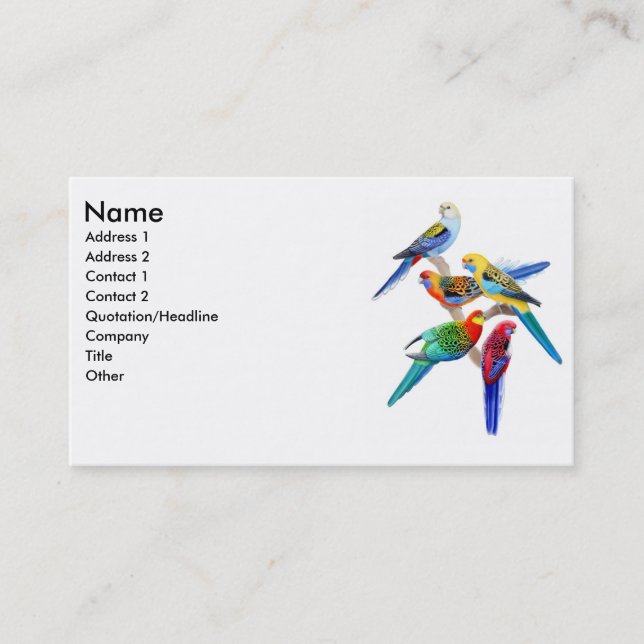 Rosella Parrots le carte de visite (Devant)