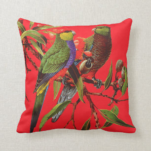 ROSELLAS SUR le coussin ROUGE de dispersion