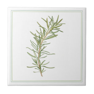 ROSEMAIRE FRAIS 4.25x4.25 Carreaux en céramique (-