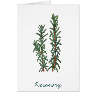 Rosemary