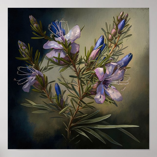 Rosemary Flower Art Print Poster (Front)