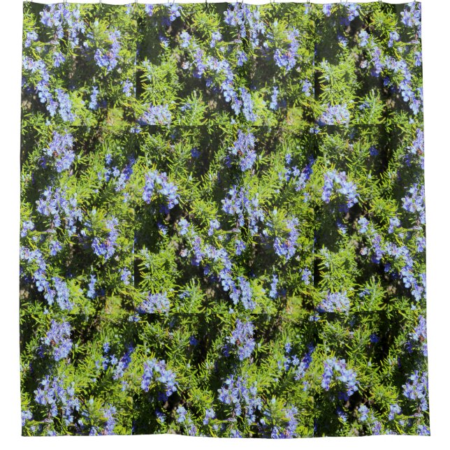 rosemary flowers on green pattern (Front)