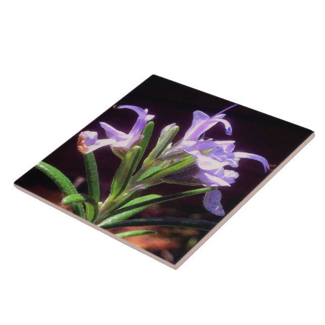 Rosemary Flowers Tile (Side)