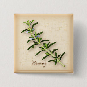 Rosemary Herb 2 Inch Square Button