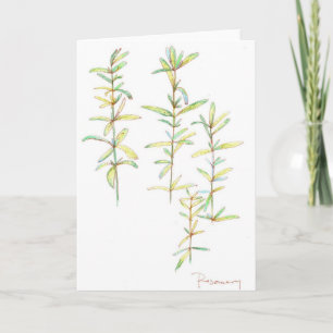 Rosemary Herb Botanical Drawing Blank Note Card