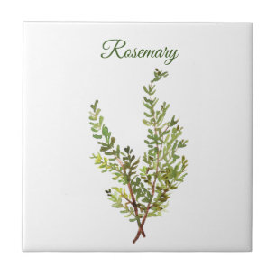 Rosemary Herb Greenery Kitchen Culinary Green chic Tile