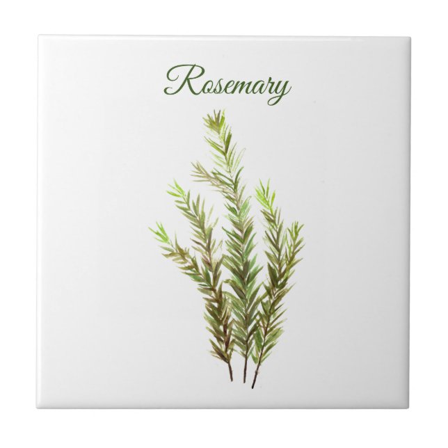 Rosemary Herb Greenery Kitchen Culinary Green chic Tile (Front)