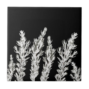 Rosemary Herb Leaves Branch Black White Tile