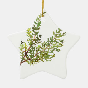 Rosemary herb Rosemary watercolour painting Ceramic Ornament