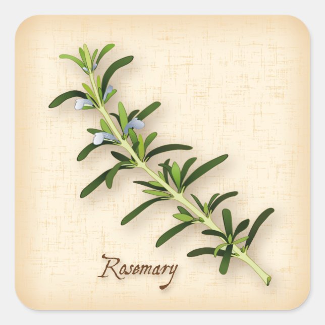 Rosemary Herb Square Sticker (Front)