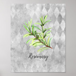 Rosemary Herb Watercolor  Poster