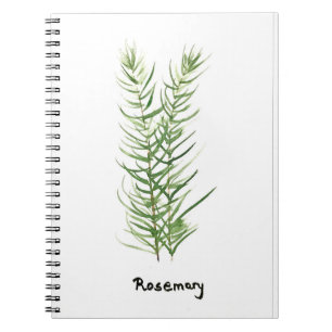 Rosemary herbs kitchen garden plants watercolor notebook