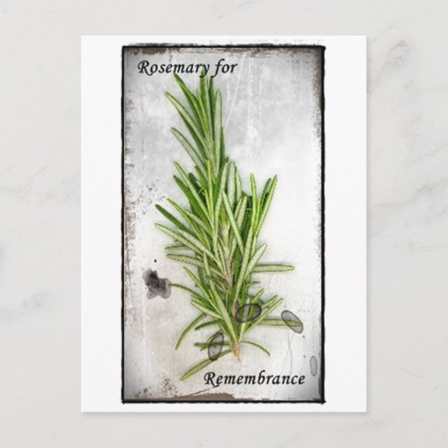 Rosemary Postcard (Front)