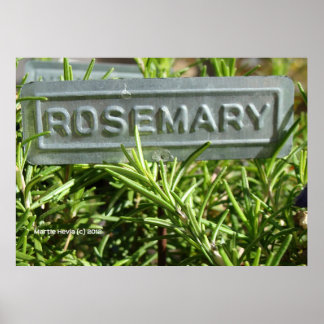 Rosemary Poster