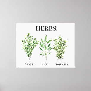 Rosemary Thyme Sage Herbs Culinary Kitchen Chef Canvas Print