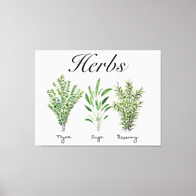 Rosemary Thyme Sage Herbs Culinary Kitchen Chef Canvas Print (Front)
