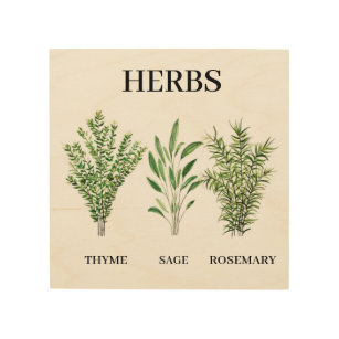 Rosemary Thyme Sage Herbs Watercolor Kitchen Chef Wood Wall Art