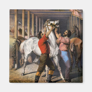 Rosenberg's Great East India Horse Invigorator. Magnet