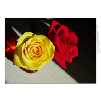 Roses