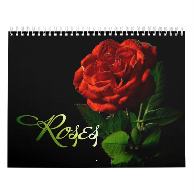 Roses 2013 Calendar (Cover)