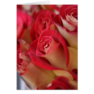 Roses à New York