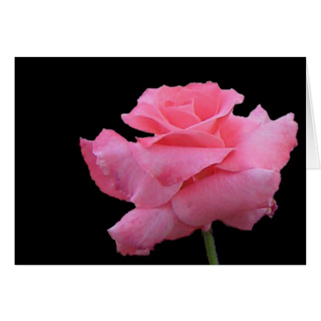 Roses and Chocolates Card (Front Horizontal)