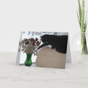 Roses and the Cat Holiday Card