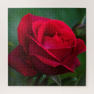 Roses Are Red 20"x20" Difficult Jigsaw Puzzle