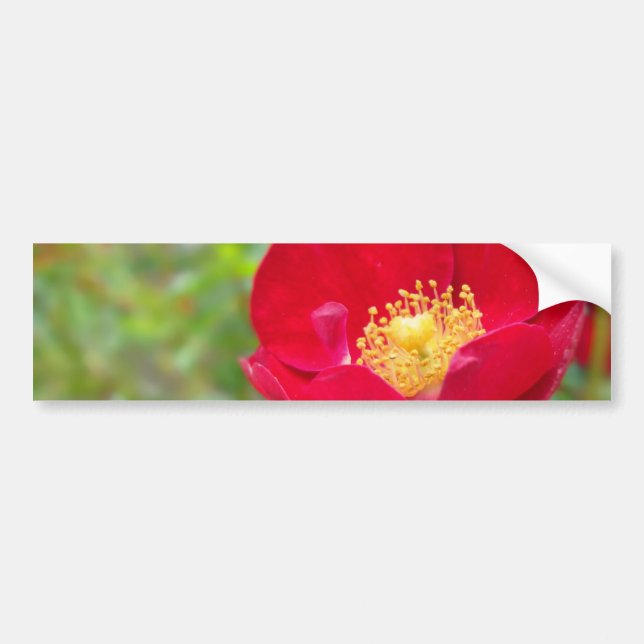 Roses Are Red Bumper Sticker (Front)