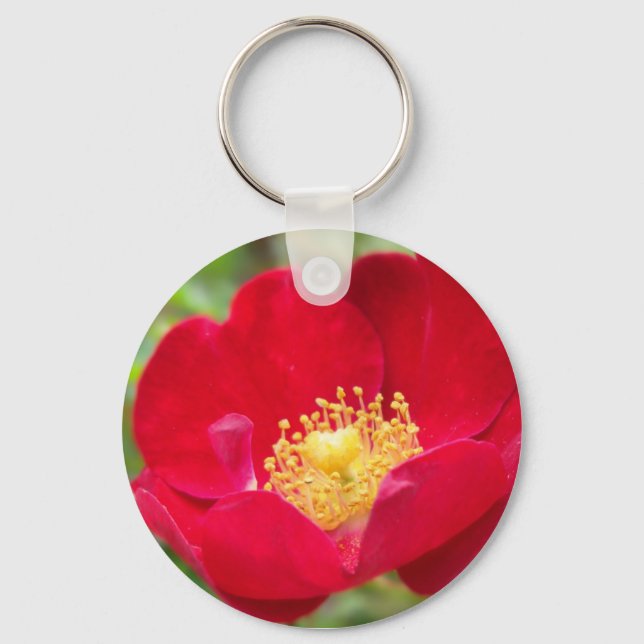 Roses Are Red Keychain (Front)